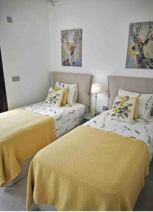 Bahia Homes Torrevieja Esterno foto